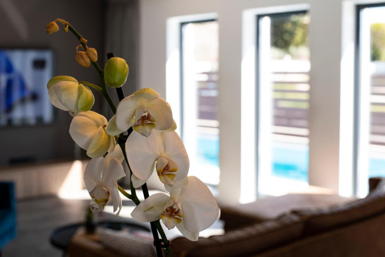 Marcante Family With A Pool Apartman Poreč